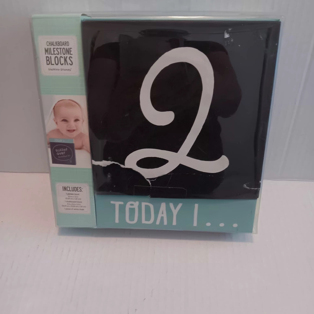 Stepping Stones Chalkboard Milestone Blocks Photo Announcement Prop Baby Picture